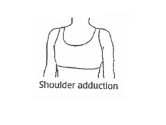Moving the shoulder towards the body