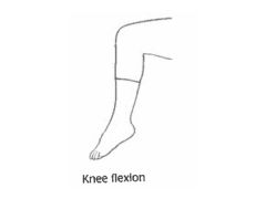 Bending the knee