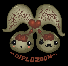 Diplozoon paradoxum