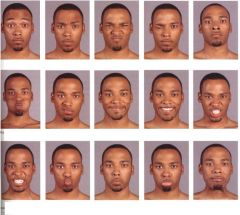 Label the muscles used in these images of facial expression