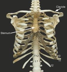 Second floating rib = rib 12,


so Thoracic vertebrae 12


 