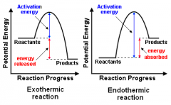 Which of the following statements
about the reaction on the right shown above is true?
a. It
is an endergonic reaction. 
b. The
reaction absorbs energy.
c. An
enzyme can be used to lower the activation energy of the reaction.
d. All of the ab...