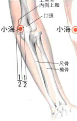 在肘後區，尺骨鷹嘴與肱骨内上髁之間凹陷處