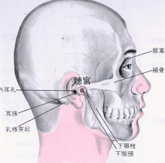 耳屏正中與下颌骨髁狀突（condylar process）的後方，張口時呈凹陷處