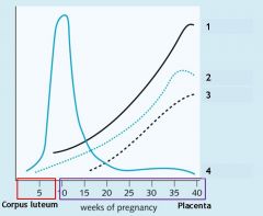 What is denoted by label 4 on this hormone profile of pregnancy?