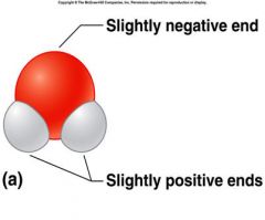 slightly positive, and slightly negative. happens between hydrogen bonds