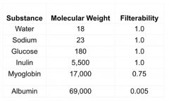 Smaller MW → greater filterability
- H2O, Na+, glucose, inulin = 100% filterable
- Myoglobin = 75% filterable
- Albumin = .5% filterable