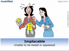  IMPLACABLE-INFLEXIBLE; INCAPABLE OF BEING PLEASED  