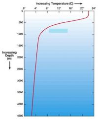 The thermocline in the following diagram ends at approximately what depth?