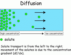 Movement of molecules move down the concentration gradient 
H ---> L
Results in an even distribution 