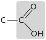 The functional group shown above is ____.