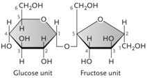 The disaccharide shown above is ____.