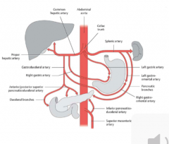 Supplied forgetu
> left gastric artery
= esophageal artery
> splenic artery
> common hepatic artery (liver, GB, part stomach, duodenum, pancreas) 
