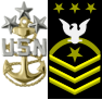 Collar Device (left)
Sleeve Insignia (Right)