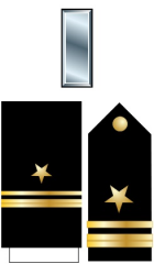 Collar Device (Top)
Sleeve Insignia (Bottom Left)
Shoulder Board (Bottom Right)
