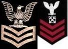 Collar Device (left)
Sleeve Insignia (Right)