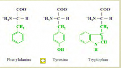 They have the AA unit (blue) and some aromatic structure (green)
