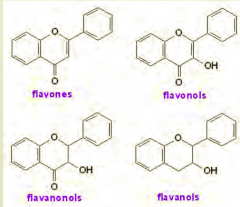 6-member ring, generally with an O in it
Always has a benzene ring to the left
Always have a total of 3 rings

(This applies to the 7 out of 8 flavonoids and we ignore the last odd one)