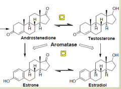 Using the picture, what structure do you think would make a good aromatase inhibitor?