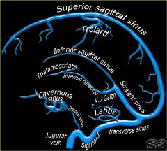 Superior Sagittal Sinus