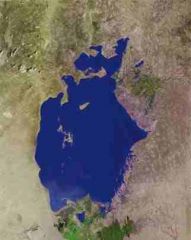 Η μείωση του νερού αυτής της λίμνης αύξησε την περιεκτικότητά της σε αλάτι εξαφανίζοντας μεγάλο μέρος της χλωρίδας και της πανίδας των γύρω περιοχών.