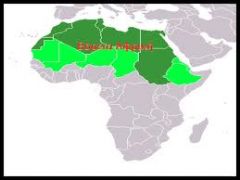 Οι κάτοικοι της Βόρειας Αφρικής δημιούργησαν αξιόλογο πολιτισμό χωρίς να δεχτούν ιδιαίτερη επιρροή από εξωγενείς παράγοντες.