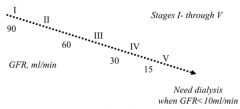- Normal: >100 ml/min
- Stage I: ≥90 ml/min
- Stage II: 60-89 ml/min
- Stage III: 30-59 ml/min
- Stage IV: 15-29 ml/min
- Stage V: <15 ml/min
