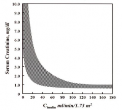 Inverse relationship between serum creatinine and GFR (inulin clearance)