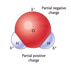 1. H2O is an example of ____ molecules because it's slightly changed on its ends.
2. (image)