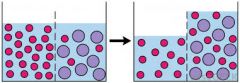 1. (image) 
2. ____ is responsible for the movement of water across membranes.