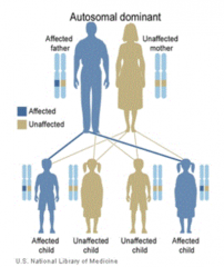 One of the parents will be affected (possibly other siblings) because it is Autosomal Dominant
