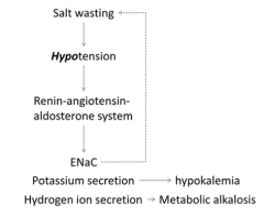 Metabolic Alkalosis because activation of Renin-Angiotensin-Aldosterone system causes H+ secretion