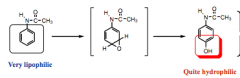 what is this rxn called to metabolize aromatic rings?