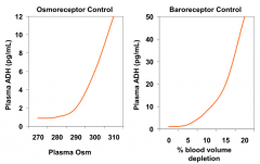 - As plasma osmolarity increases above 280, ADH release into plasma increases
- Controlled by osmoreceptors