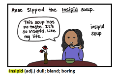   INSIPID-LACKING IN FLAVOR; DULL  