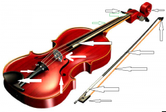 Parts of the instrument