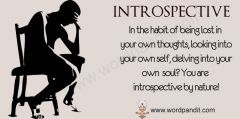   INTROSPECTIVE-CONTEMPLATING ONE'S OWN THOUGHTS AND FEELINGS  