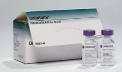 caninsulin