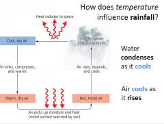 Water condenses as air cools 
Air cools as it rises