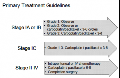 IV chemo because of high-grade histology

Note: chemo is needed not only because of the rupture, but also b/c of the high grade 

#122