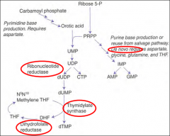 HINT: PUR As Gold. 

catalyzes PRPP --> phosphoribosyl amine.