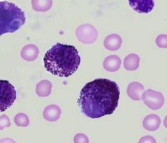 What drug is used to prevent mast cell degranulation?