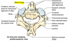 -Possesses odontoid process or dens
-art. with atlas - atlantoaxial joint
-assists with rotation (shake head no)