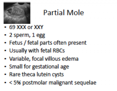 partial mole

#145