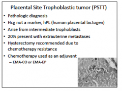 Placental-site trophoblastic tumor

#147
