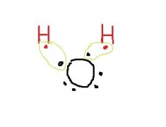 Why do the H atoms in water form a bent molecule instead of in a straight line?