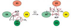 Step 5: Now the EnoylReductase (ER) domain wants a piece of the action and reduces the double bond.