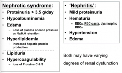 Nephrotic Syndrome:
- More proteinuria (>3.5 g/day)
- Hypoalbuminemia
- Hyperlipidemia
- Lipiduria
- Hypercoagulability

Nephritis:
- Mild proteinuria
- Hematuria
- Hypertension