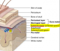 -Subarachoid space: between pia mater and arachnoid. Contains cerebrospinal fluid
-Subdural space: between dura mater and arachnoid layer