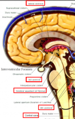 A series of continuous
spaces deep in the brain
that contain cerebrospinal
fluid (CSF)
© Lateral ventricle (2)
© 3rd ventricle (1) - the space between the right and left thalamus (holds spinal fluid)
© Cerebral aqueduct (1) -betw...